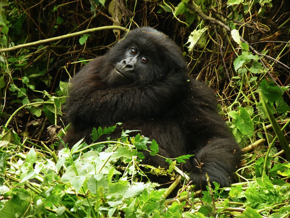 Eindrücke und Bilder aus dem Projektgebiet