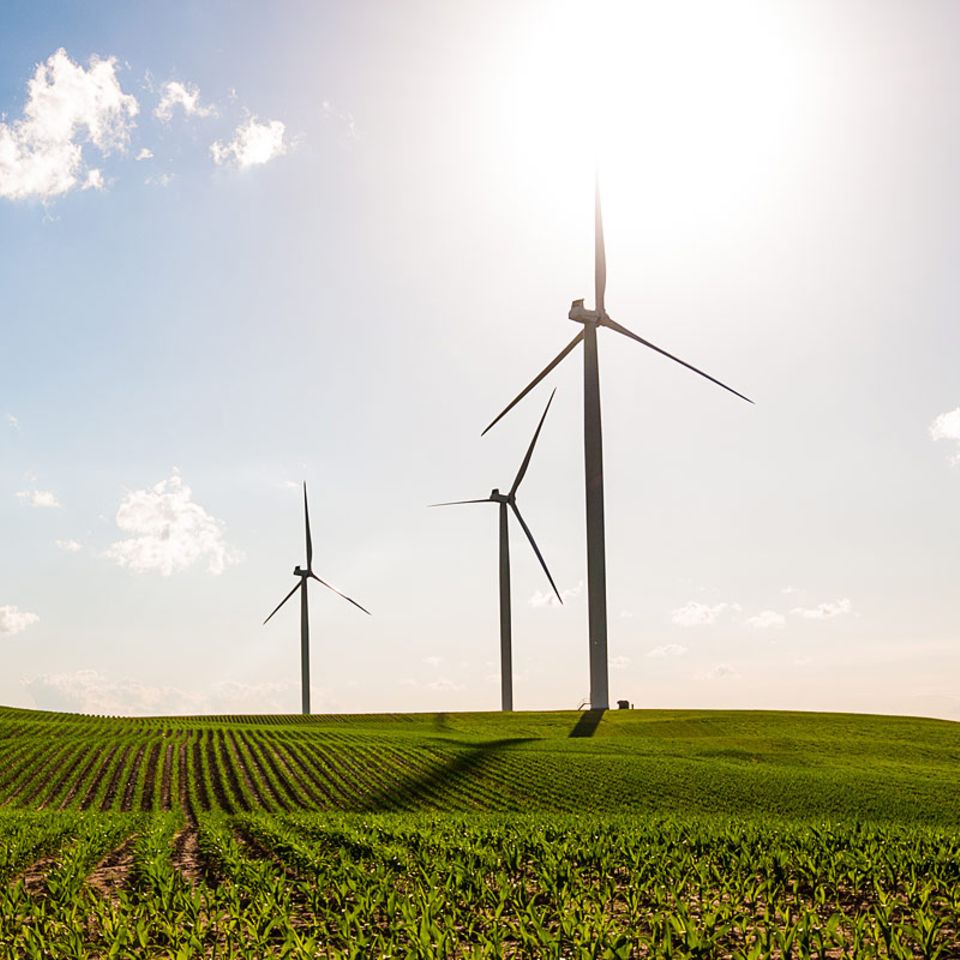 Grüner Strom: Energiewende weltweit