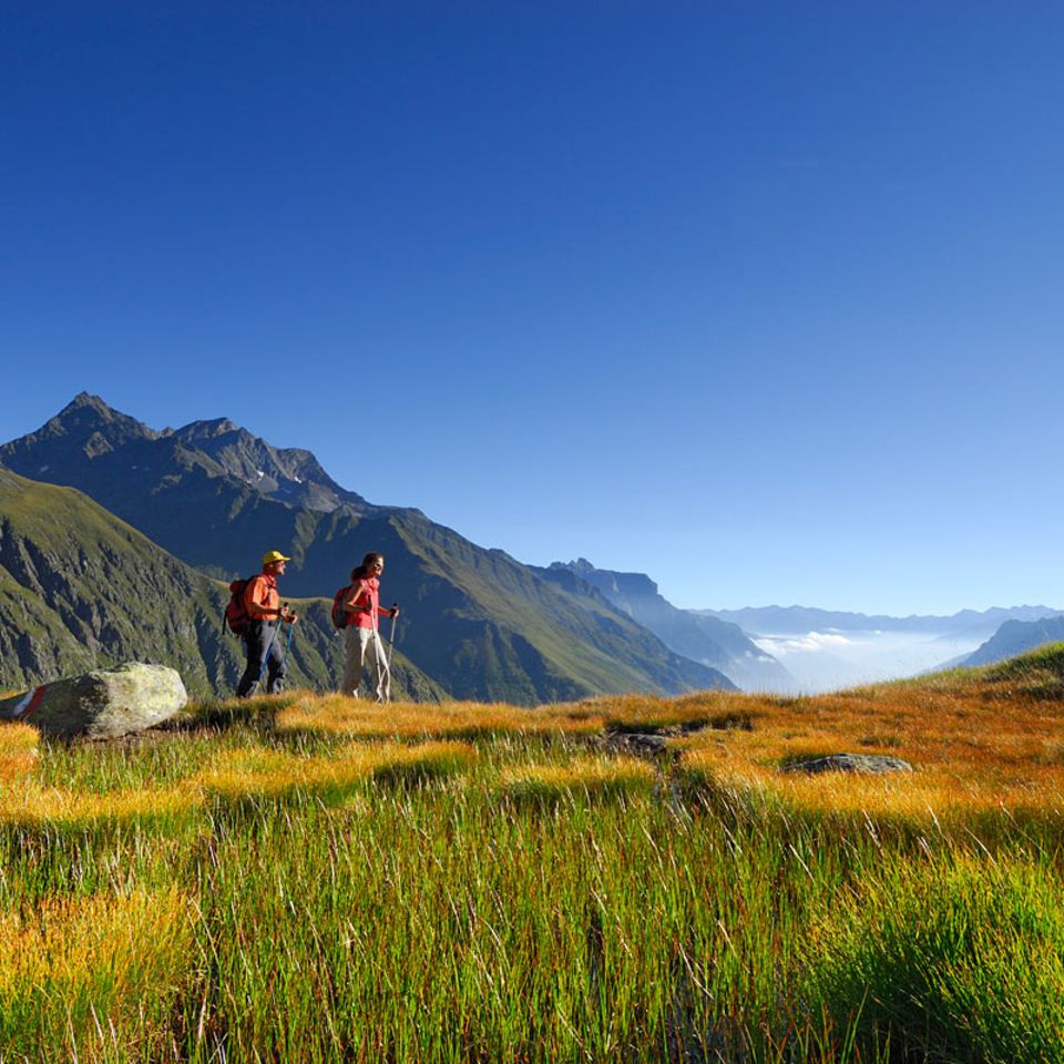 Interview: Die Alpen - Eine Bestandsaufnahme
