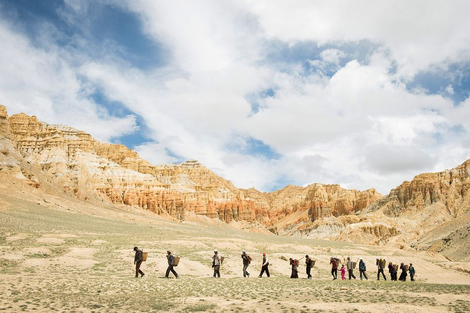 Umweltfotopreis: Greenpeace Photo Award 2014: Die Gewinner