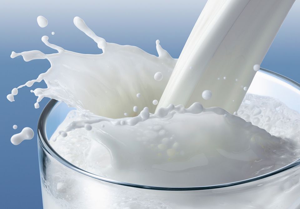 Vegane Ernährung: Echte Milch - demnächst vegan?
