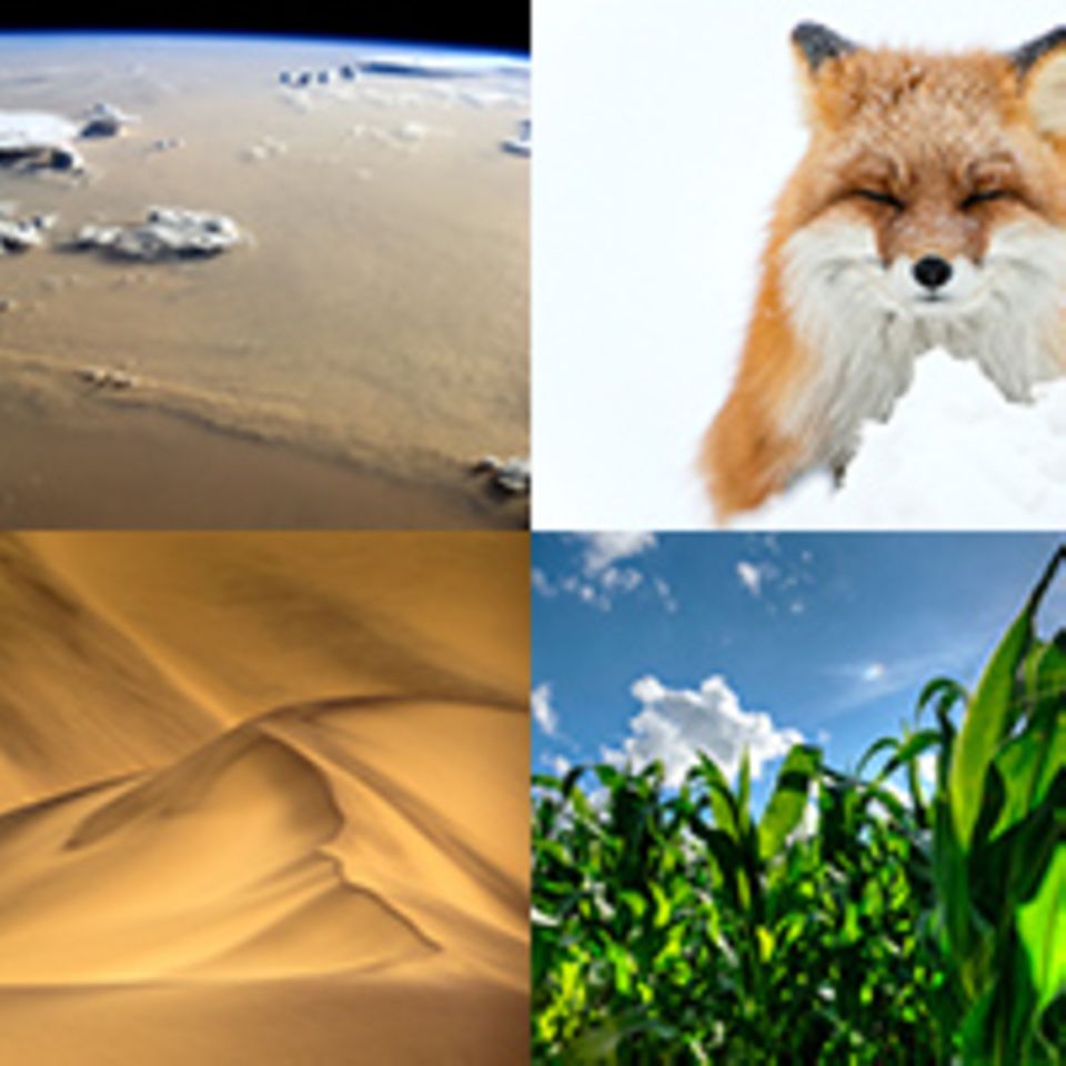 Best of 2014: Unsere beliebtesten Beiträge des Jahres aus Natur und Umwelt