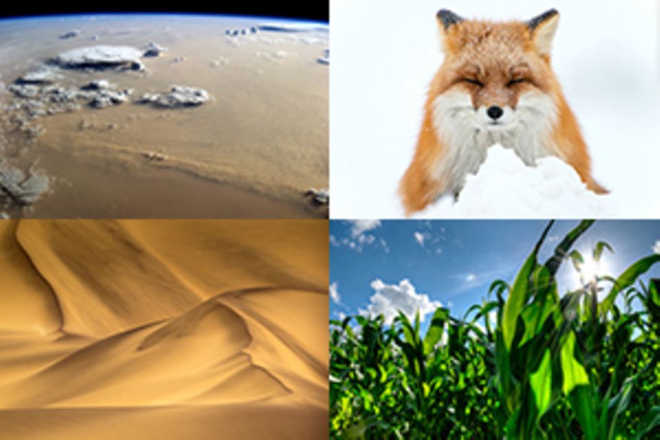 Best of 2014: Unsere beliebtesten Beiträge des Jahres aus Natur und Umwelt