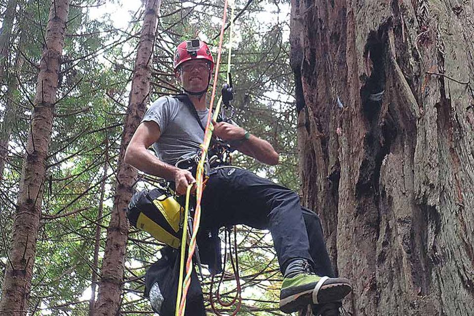 Chad Brey ist von dem Betreiber eines privaten Naturparks engagiert worden, um den höchsten Baum des Parks neu zu vermessen. 90 Meter soll er hoch sein Chad Brey ist von dem Betreiber eines privaten Naturparks engagiert worden, um den höchsten Baum des Parks neu zu vermessen. 90 Meter soll er hoch sein
