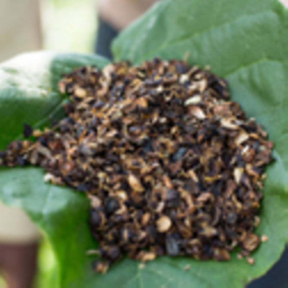 Äthiopien: Kochenergie aus Kaffee-Schälresten, Kaffa