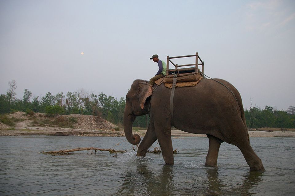 Nepal: Devnaryan und Sano Chanchal sind ein eingespieltes Team. Der Elefant gehört zur Familie und wurde von Devnaryan aufgezogen Nepal: Devnaryan und Sano Chanchal sind ein eingespieltes Team. Der Elefant gehört zur Familie und wurde von Devnaryan aufgezogen