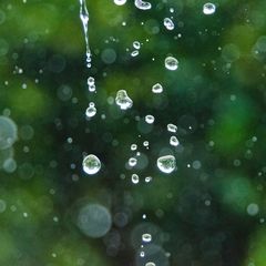 Endlich verstehen: Darum riecht die Luft nach Regen