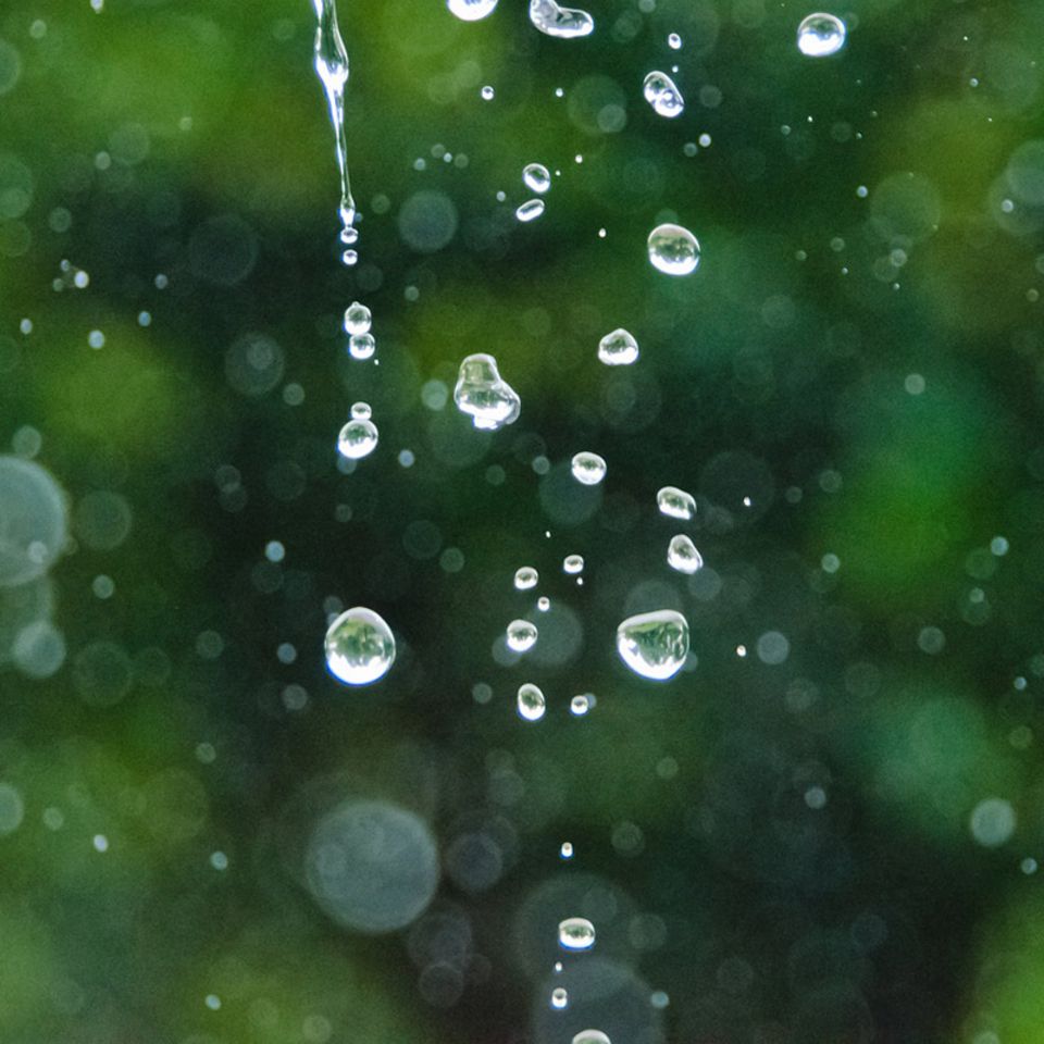 Endlich verstehen: Darum riecht die Luft nach Regen