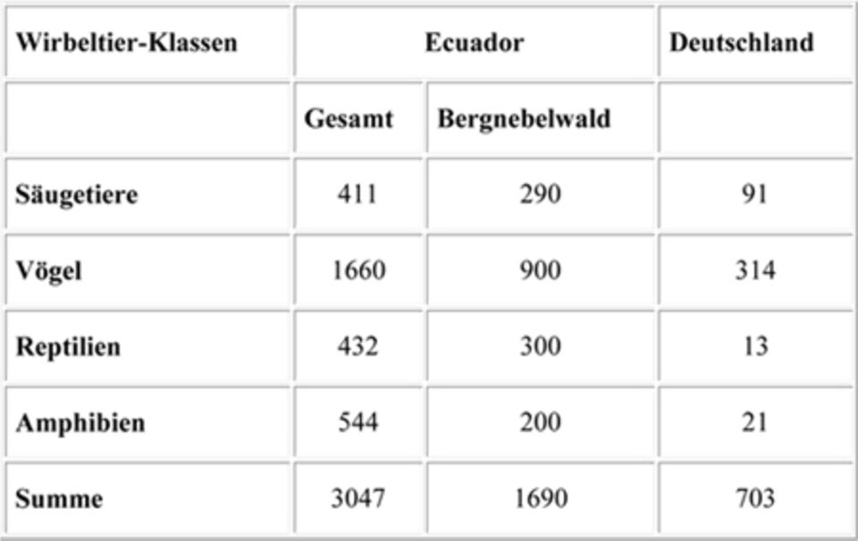 Chronologie der Ereignisse im Intag 2014