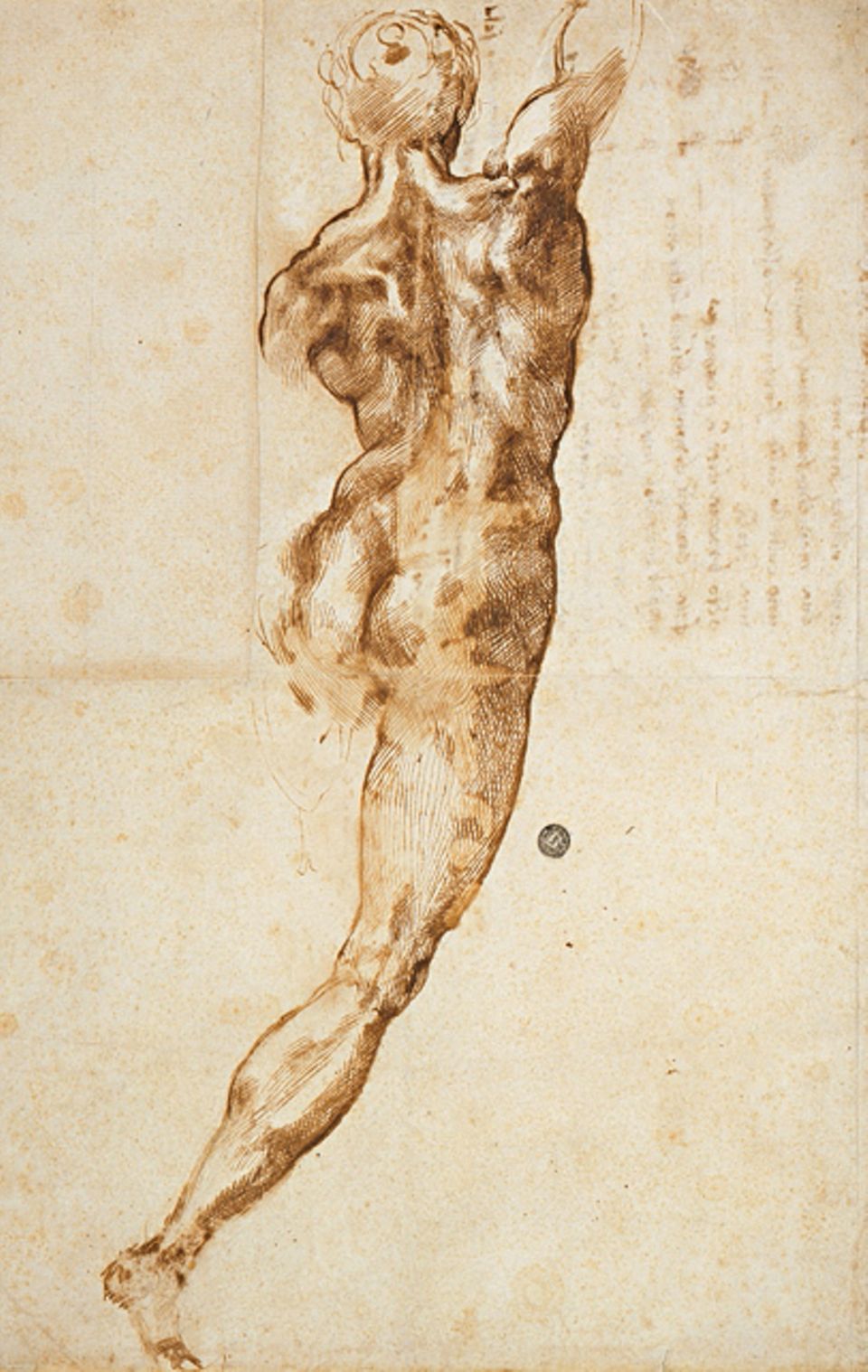 Portfolio: "Nackter in Rückenansicht": Auch als Zeichner überragt Michelangelo die Künstler seiner Zeit. Seine Figuren sind anatomisch so präzise, dass Konkurrenten 1529 in sein Atelier einbrechen und etliche seiner Zeichnungen stehlen (Skizze für ein Schlachtengemälde, um 1504)