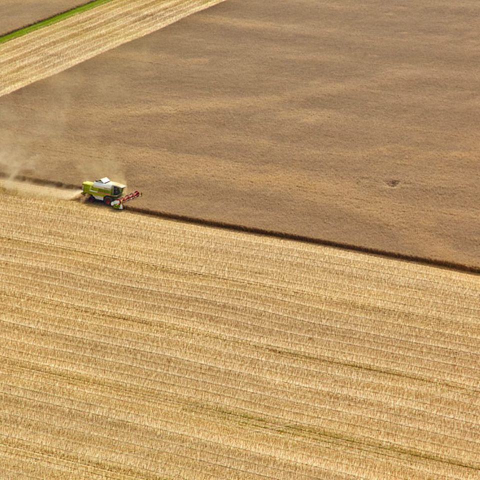 Nachhaltigkeit: Landwirtschaft im industriellen Maßstab bringt hohe Erträge, frisst aber Ressourcen und schädigt die Bodengesundheit