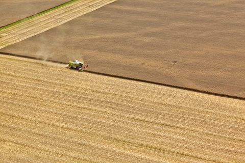 Nachhaltigkeit: Landwirtschaft im industriellen Maßstab bringt hohe Erträge, frisst aber Ressourcen und schädigt die Bodengesundheit