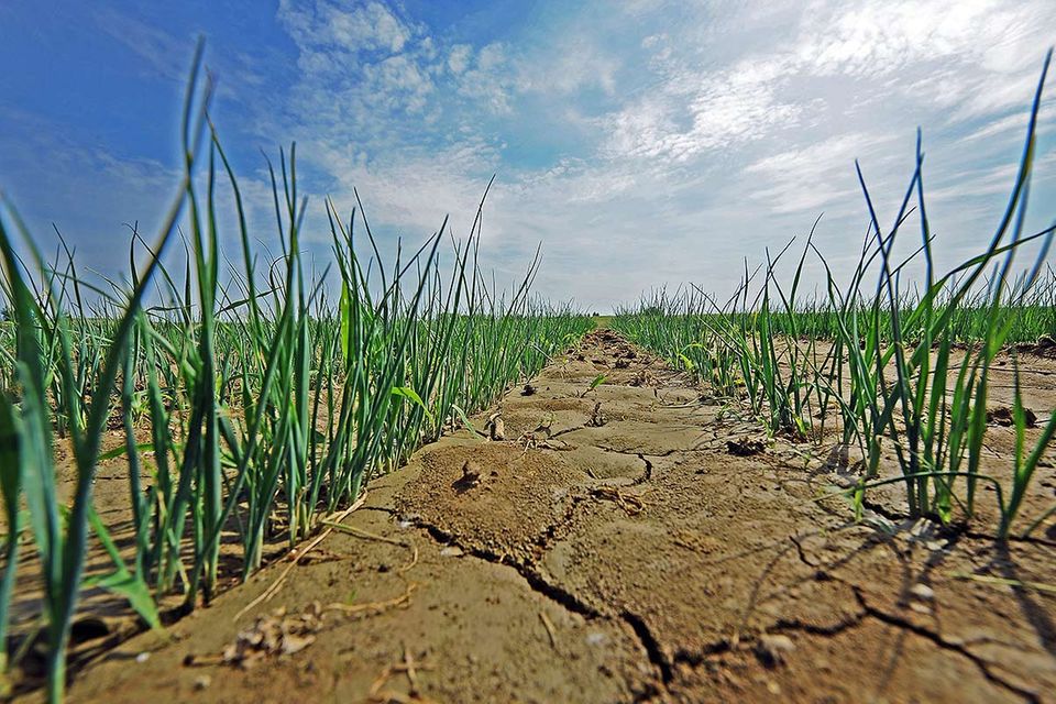 3. Global Soil Week: "Wir bräuchten eine zweite Erde"