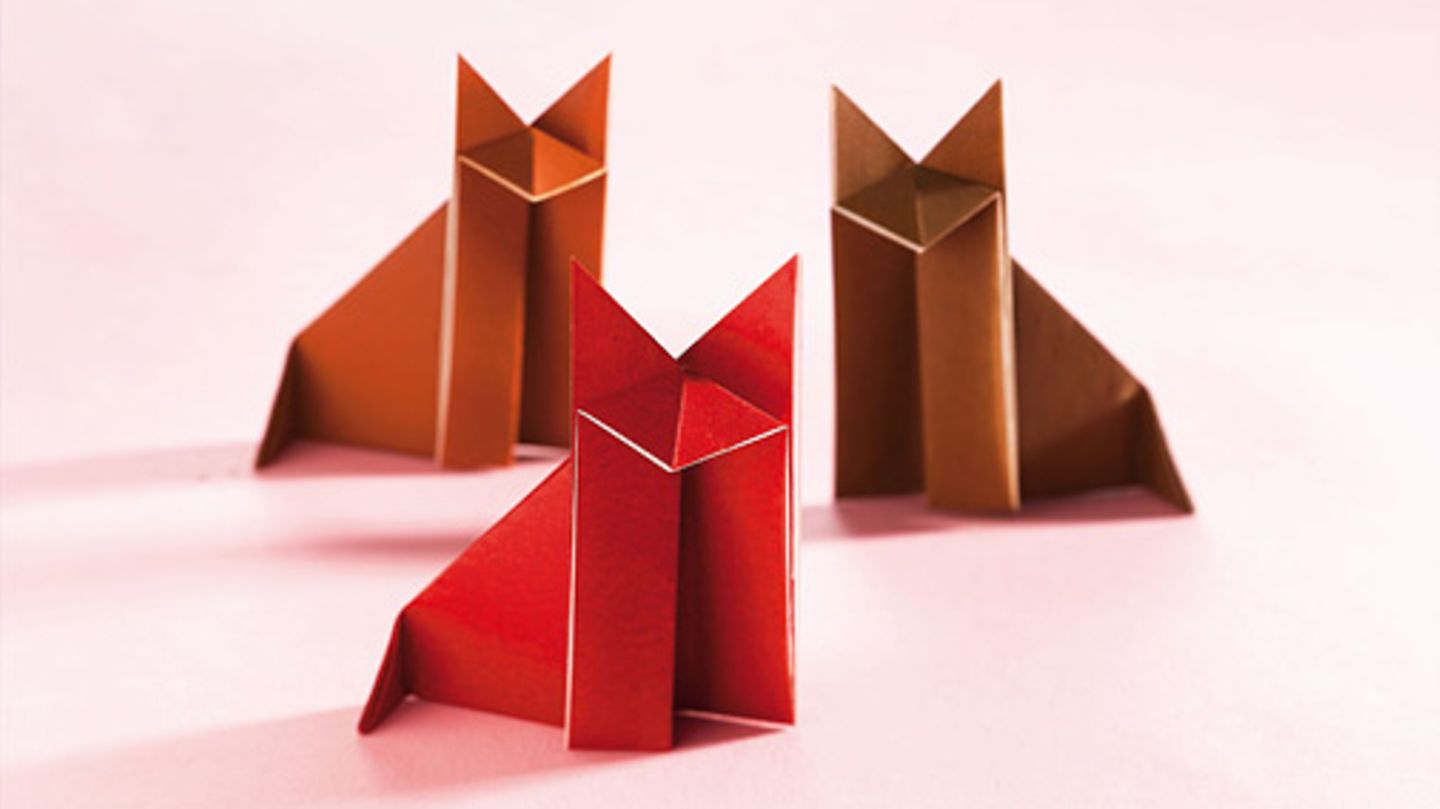 Origami Anleitungen Fur Kinder Geolino