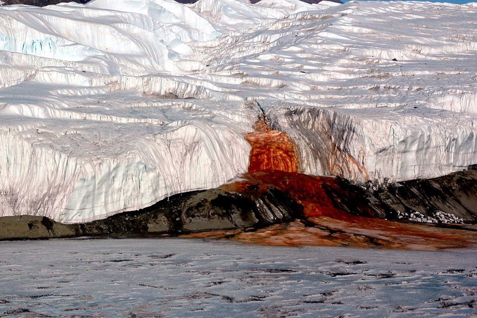 Antarktis: Warum der Taylor-Gletscher "blutet"