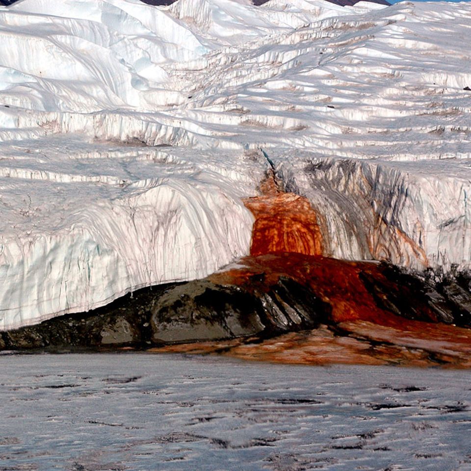 Antarktis: Warum der Taylor-Gletscher "blutet"