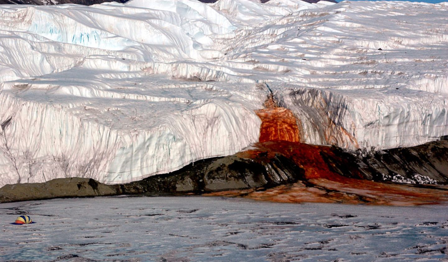 Antarktis: Die "Blood Falls" ergießen sich am Ende Taylor-Gletschers in den Lake Bonney. Das Zelt links im Bild macht deutlich, wie groß der verfärbte Bereich ist