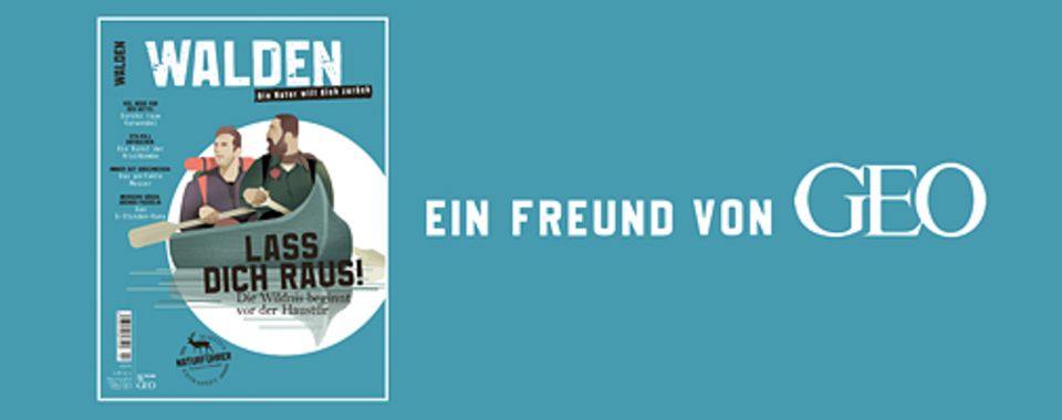 Neues Magazin: Zur Magazin-Website: walden-magazin.de