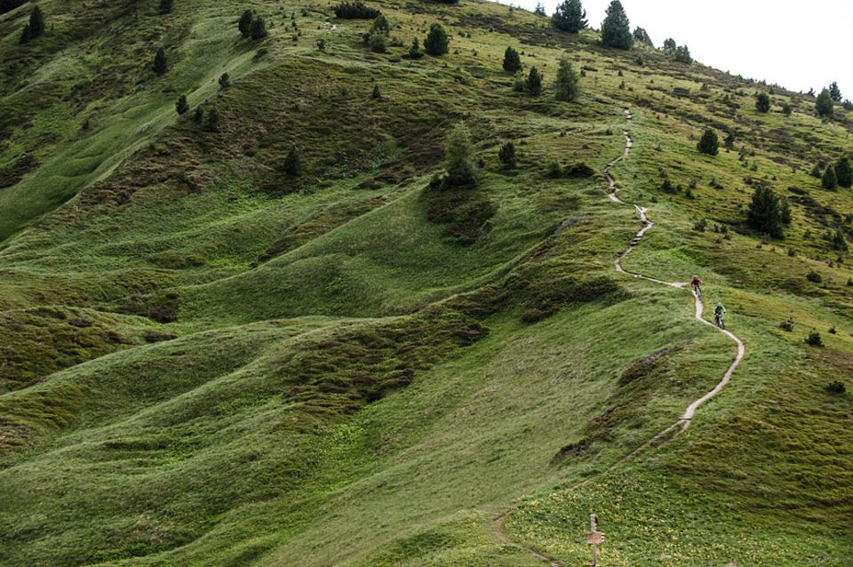 Val Gardena: Vom entspannten Schotterweg bis zum anspruchsvollen Singletrail ist auf der Seceda alles geboten. Die Tour "Unter den Geislern" kann also in Punkto Variantenreichtum aus dem Vollen schöpfen Val Gardena: Vom entspannten Schotterweg bis zum anspruchsvollen Singletrail ist auf der Seceda alles geboten. Die Tour "Unter den Geislern" kann also in Punkto Variantenreichtum aus dem Vollen schöpfen