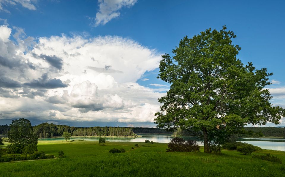 Ausflüge: Refugium für Seen-Süchtige: Gut 40 Kilometer südlich von München erstrecken sich die geschützten Osterseen Ausflüge: Refugium für Seen-Süchtige: Gut 40 Kilometer südlich von München erstrecken sich die geschützten Osterseen