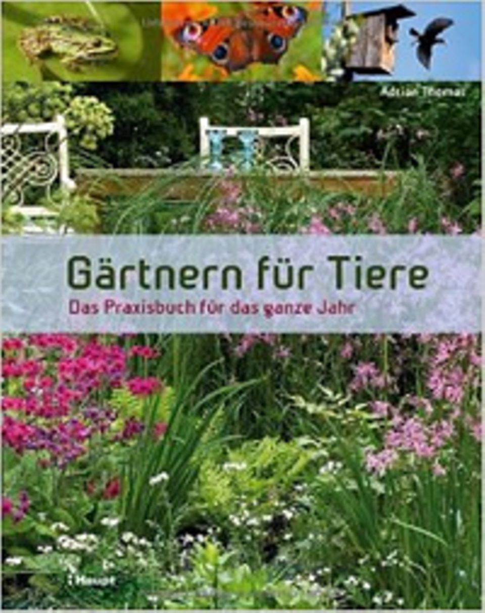 Buchtipp: Gärtnern für Tiere - Das Praxisbuch für das ganze Jahr Buchtipp: Gärtnern für Tiere - Das Praxisbuch für das ganze Jahr
