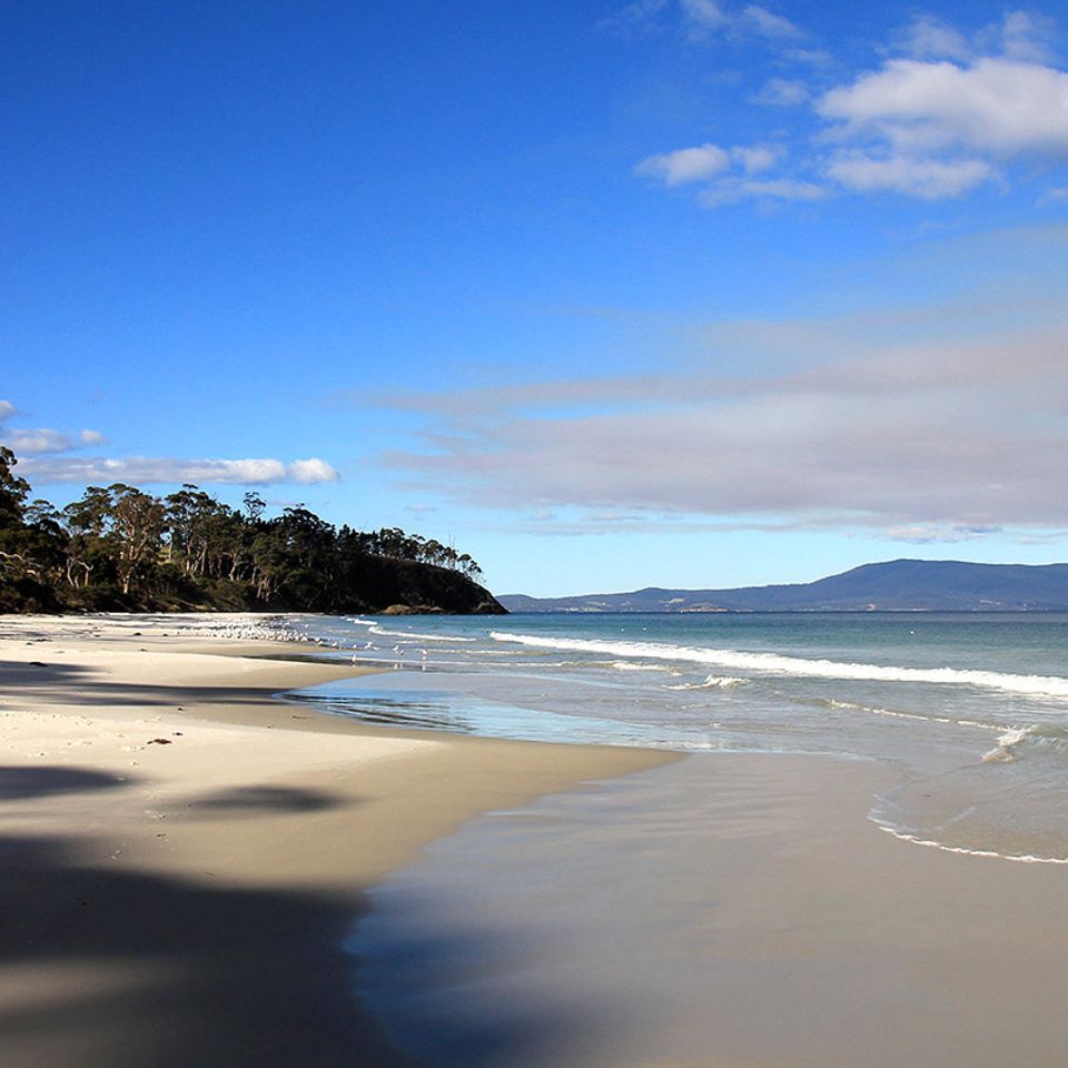 Roadtrip auf Tasmanien: Auf der südlichsten Straße Australiens ans Ende der Welt