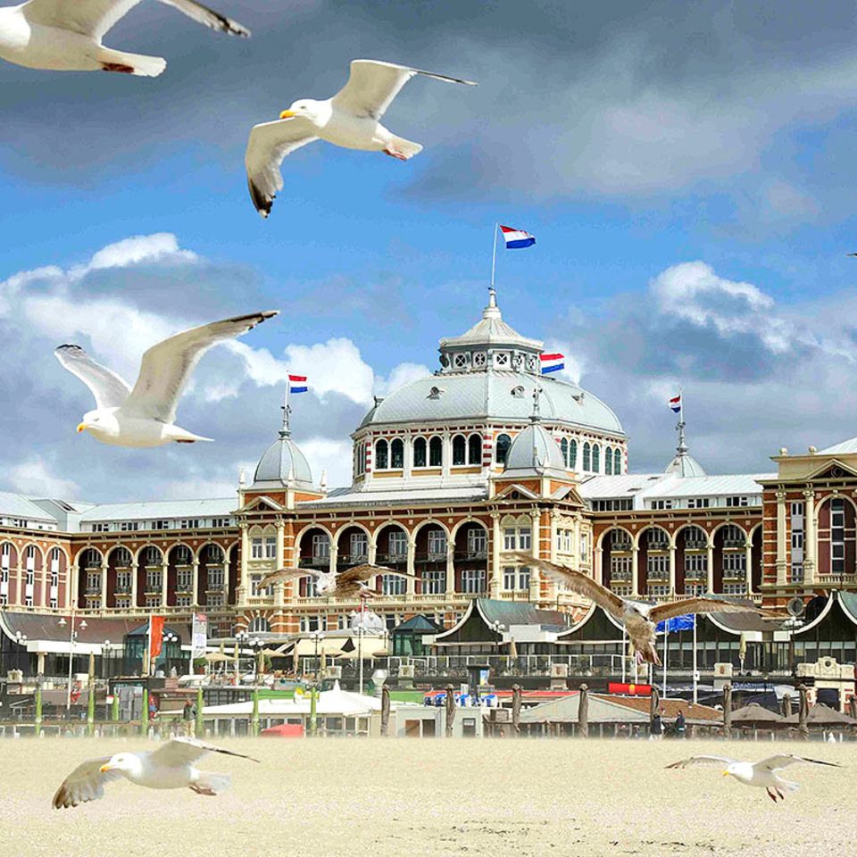 Den Haag: Hollands internationales Dorf