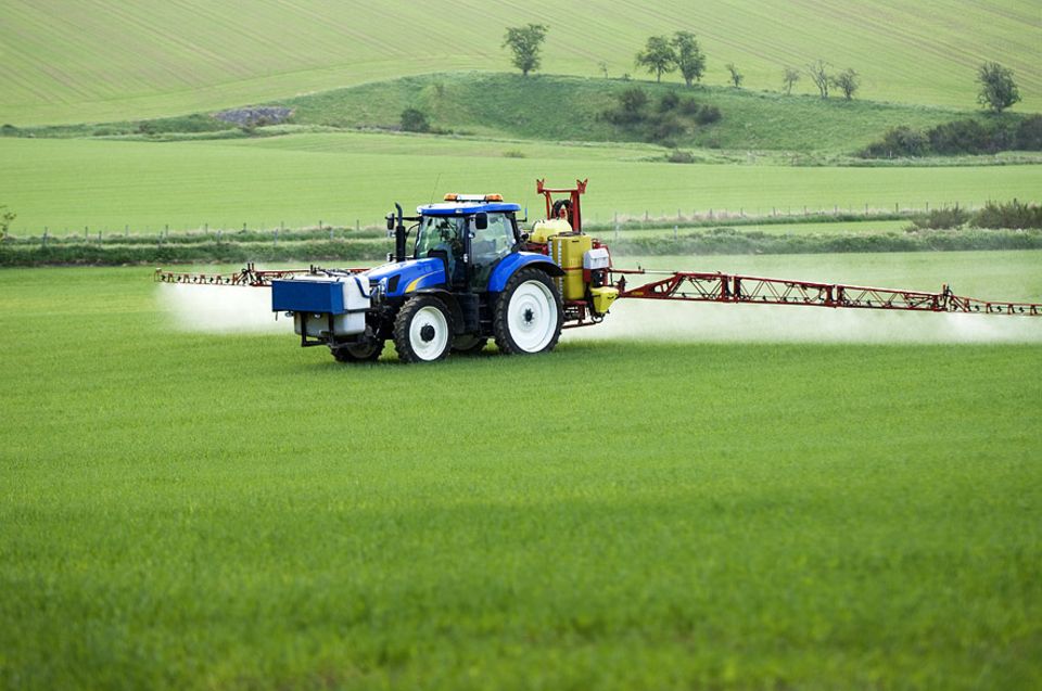 Glyphosat: Wird hier mehr vernichtet als Unkraut? Glyphosat: Wird hier mehr vernichtet als Unkraut?