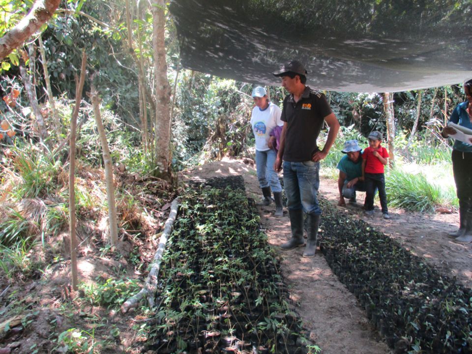 Besuch der Baumschule San Joaquín 2015: Telésforo Chusquillo präsentiert die ersten Setzlinge