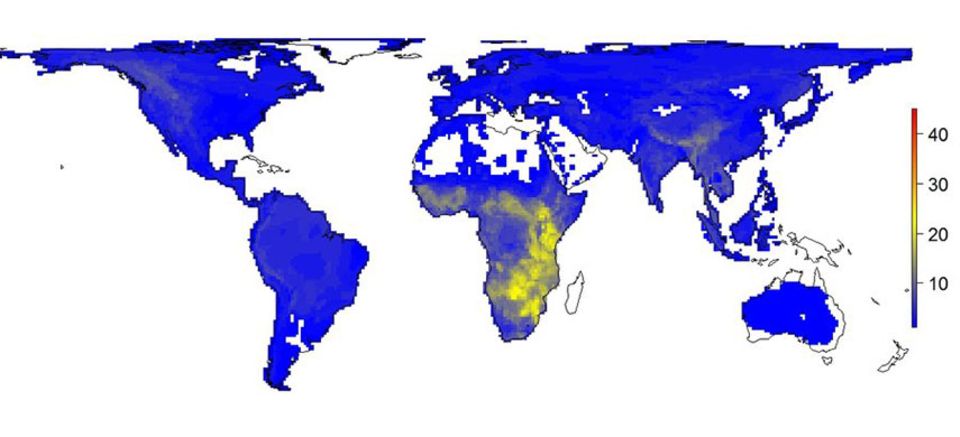 Weltkarte: Afrika einziger Hotspot: So sieht die tatsächliche Verteilung von großen Säugetieren heute aus