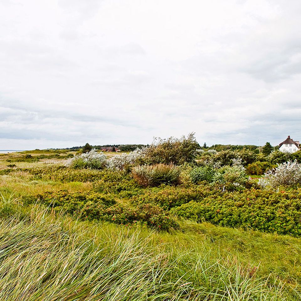 Föhr: Der Friesenkanal