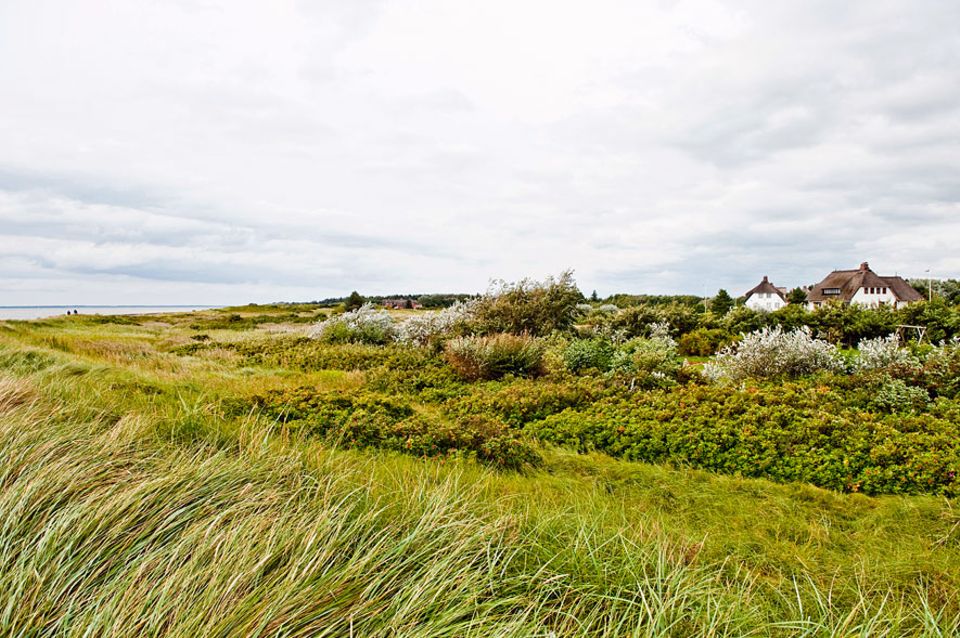 Föhr: Typisch friesisch: ein Reetdachhaus auf der Insel Föhr und auch die Inselsprache erobert sich seinen Platz zurück. Sie ist Pflichtfach in der Schule, damit sie nicht verloren geht