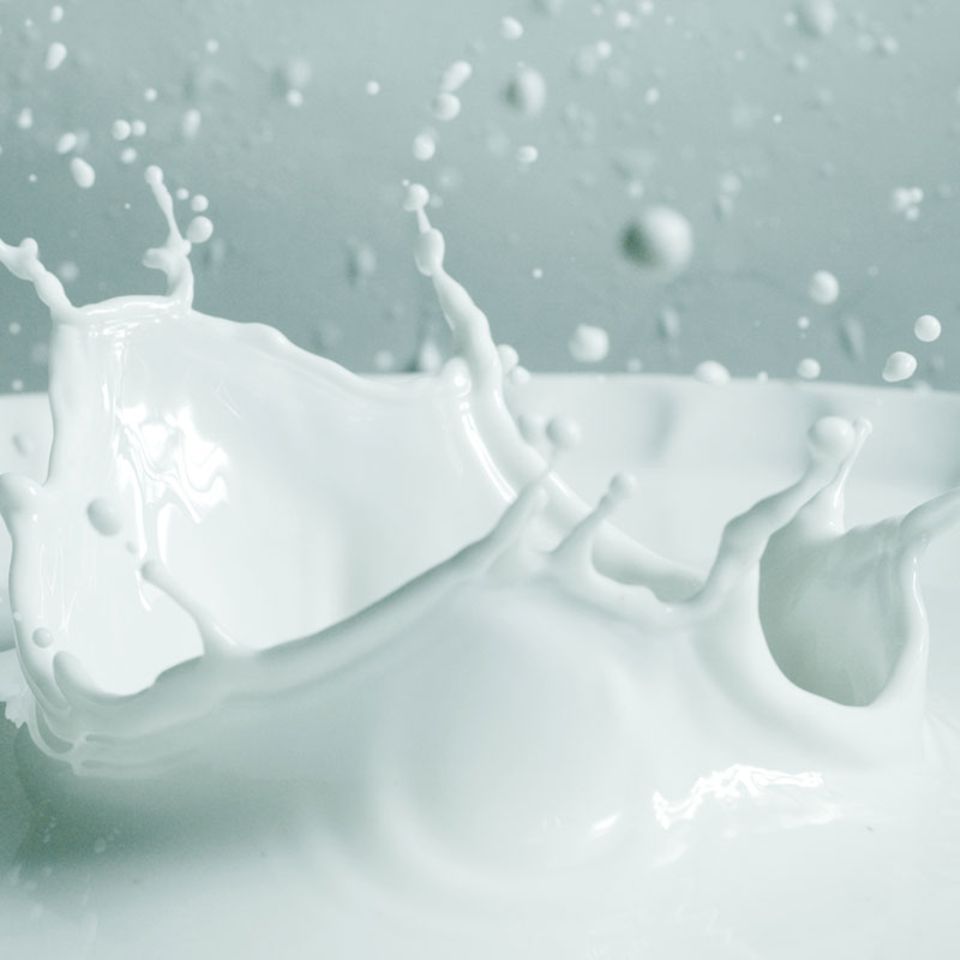 Ernährung: Ist Milch wirklich gut für die Knochen?