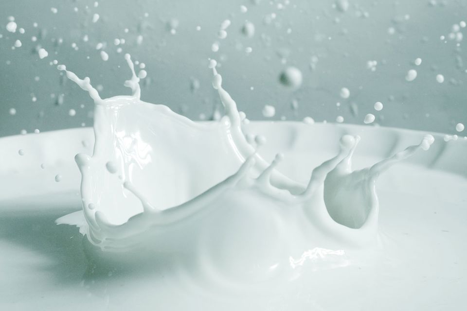 Ernährung: Ist Milch wirklich gut für die Knochen?