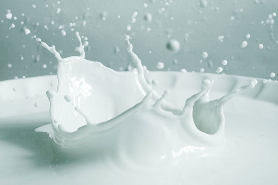 Ernährung: Ist Milch wirklich gut für unser Skelett? Eine Studie wirft Zweifel auf