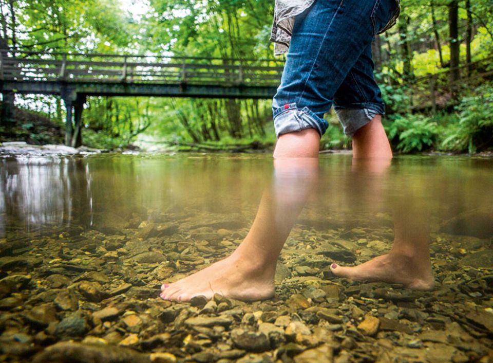 Herz: Kneippgänge im kalten Wasser trainieren die Elastizität der Adern: Das stärkt die Pumpfunktion des Herzens