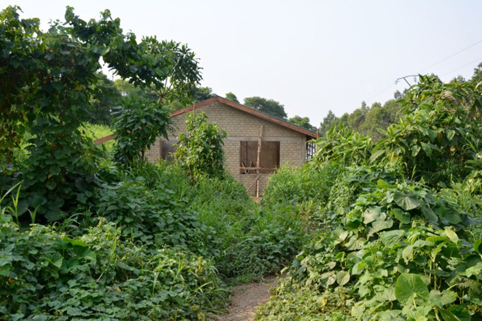 Das Werkstatt- und Schulungsgebäude in der Bauendphase