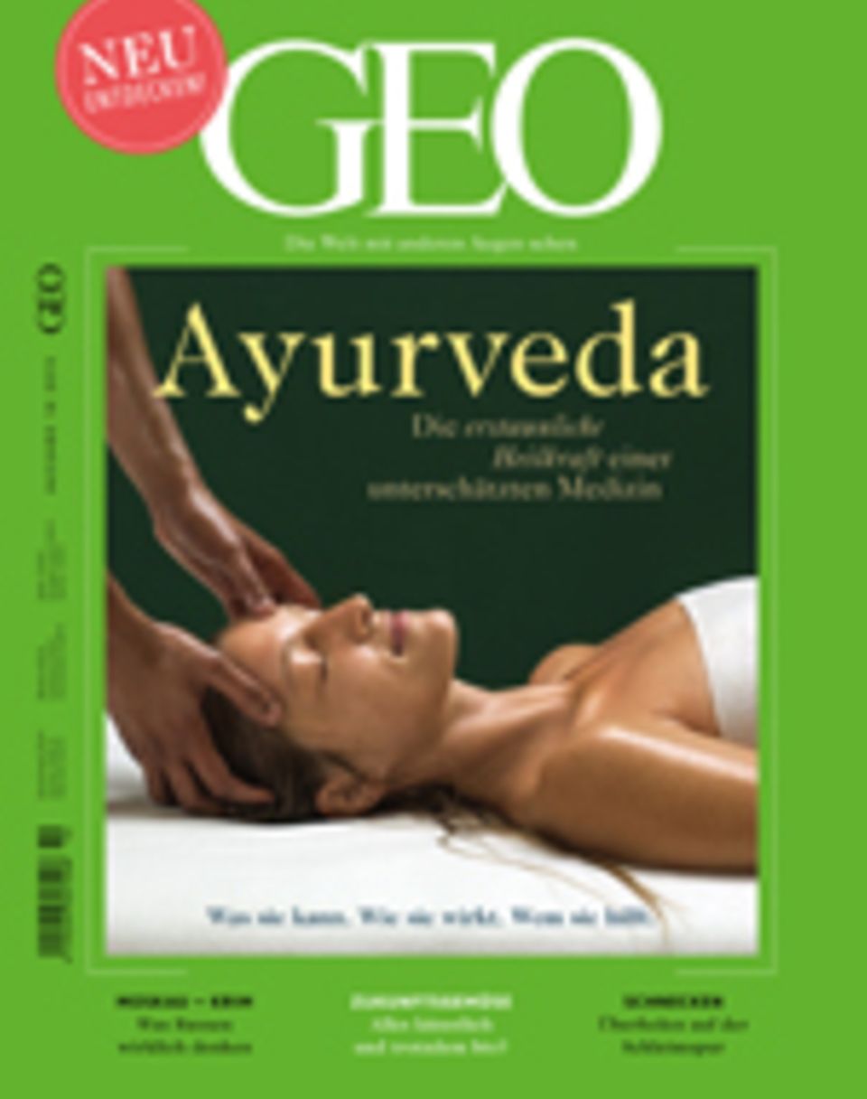 Forschung zu Ayurveda: Was kann Ayurveda? Das sagt die Wissenschaft Forschung zu Ayurveda: Was kann Ayurveda? Das sagt die Wissenschaft