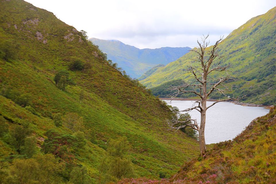 Knoydart in Schottland: Wer nicht mit dem Kompass umgehen kann, bleibt am besten gleich zuhause. Knoydart wird nicht umsonst die letzte Wildnis Schottlands genannt Knoydart in Schottland: Wer nicht mit dem Kompass umgehen kann, bleibt am besten gleich zuhause. Knoydart wird nicht umsonst die letzte Wildnis Schottlands genannt