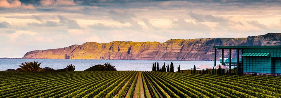 Neuseeland: Nicht ganz günstig, aber dennoch einen Besuch wert: Elephant Hill ist eines der schönsten Weingüter in Neuseelands zweitgrößter Anbauregion Hawkes Bay um Napier