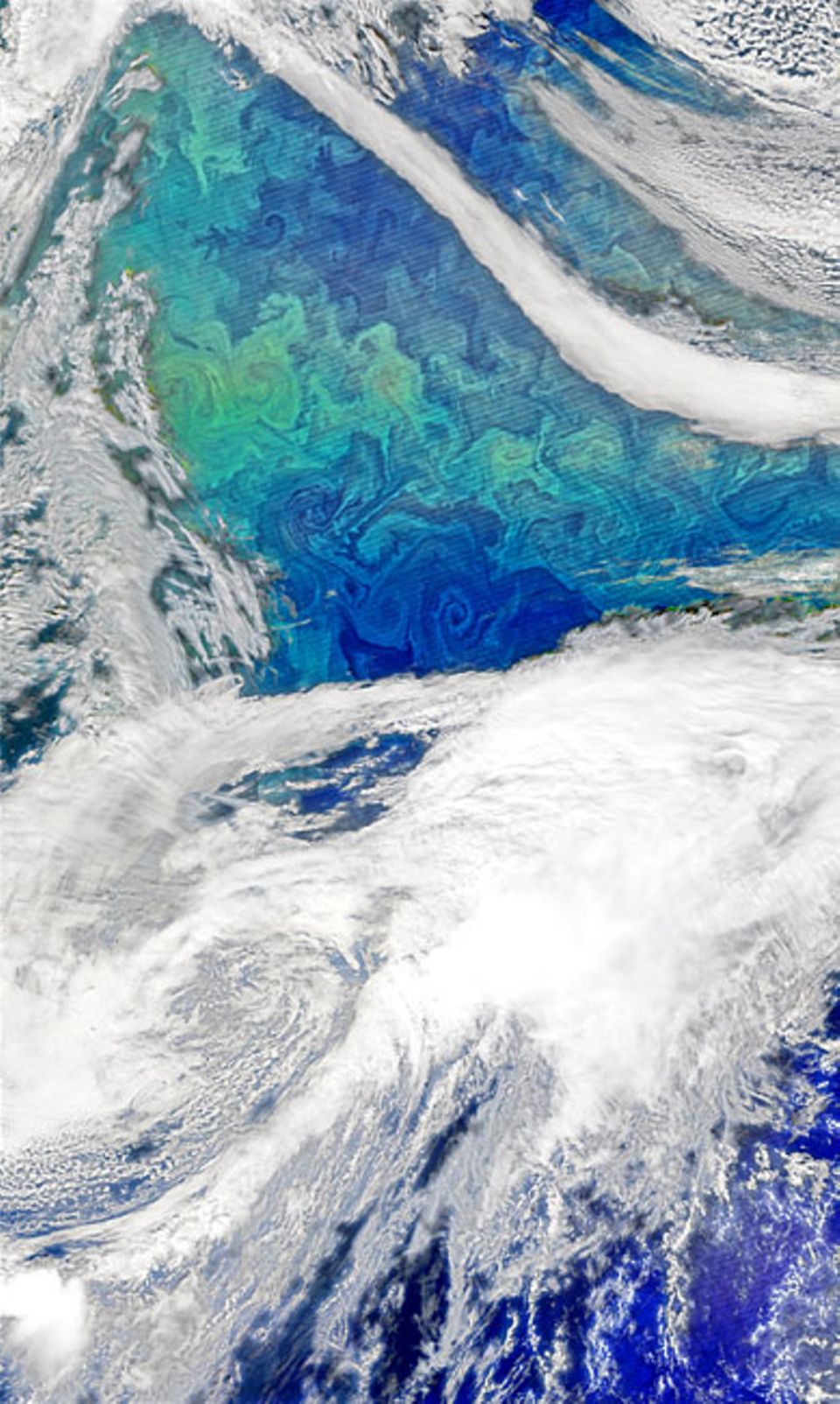 Algenblüte: Das NASA-Foto zeigt eine gigantische Algenblüte im Nordatlantik