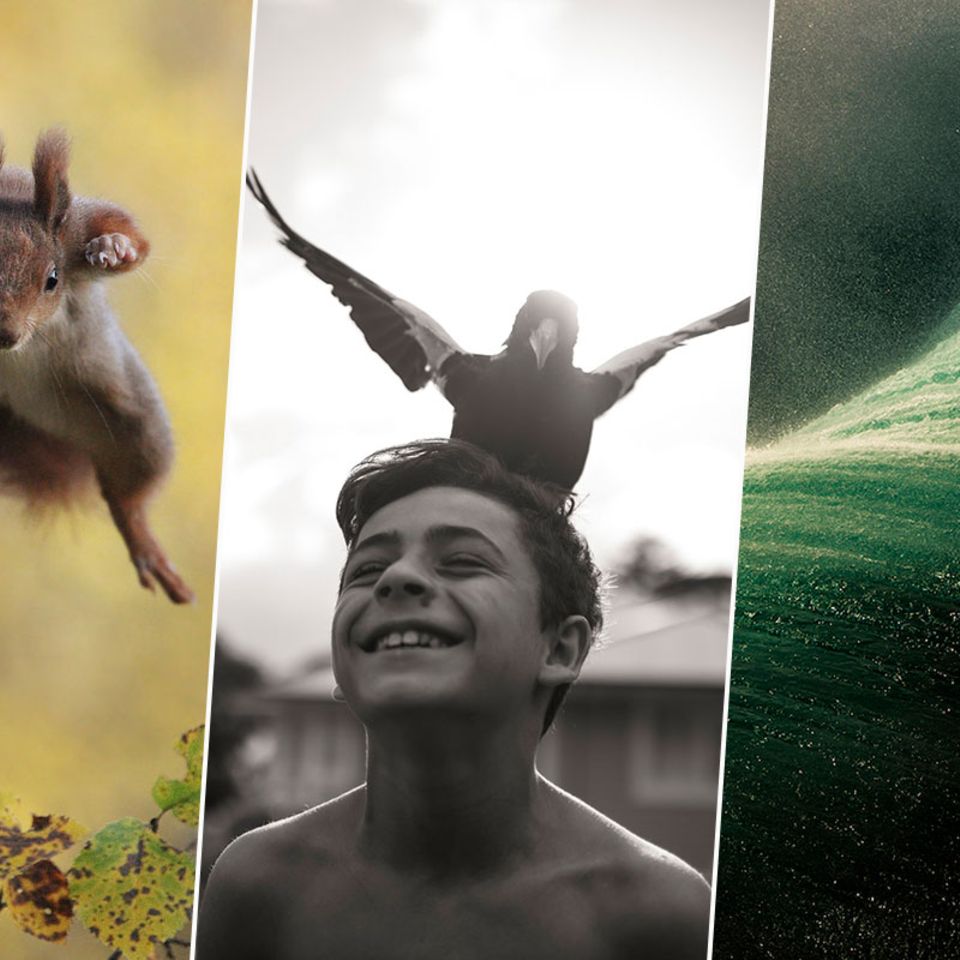 Best of Natur und Umwelt: Diese Artikel haben Sie 2015 besonders interessiert