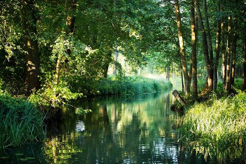 Spreewald – Kähne, Köche, Klapperstörche