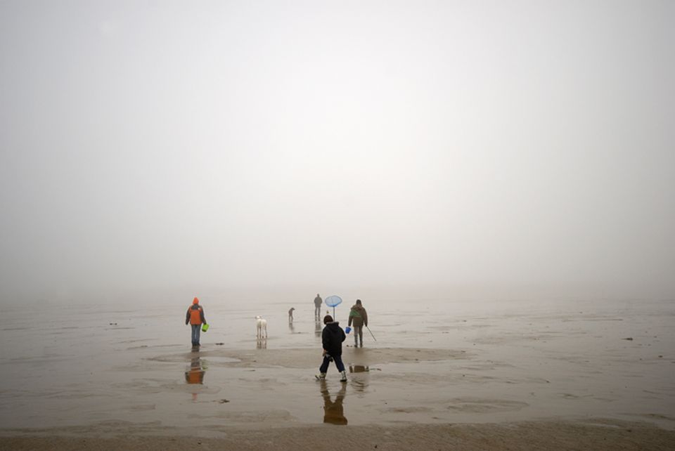 Gib mir fünf: Fünfmal staunen über Nebel Gib mir fünf: Fünfmal staunen über Nebel
