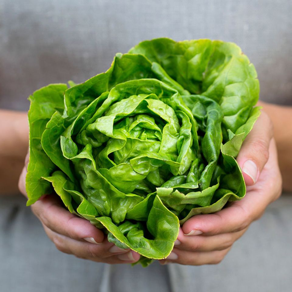 Ernährung: Sind Vegetarier die größeren Umweltsünder?