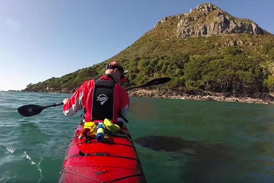 Video: Dieser Kajakfahrer wird seit Jahren von einem Orca begleitet