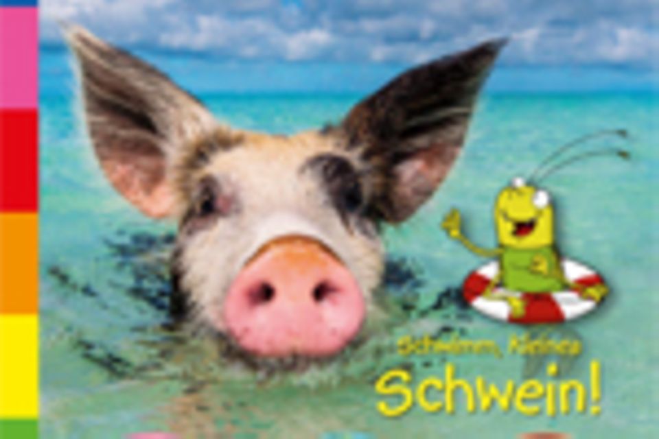 Video: Wasserschweine Video: Wasserschweine