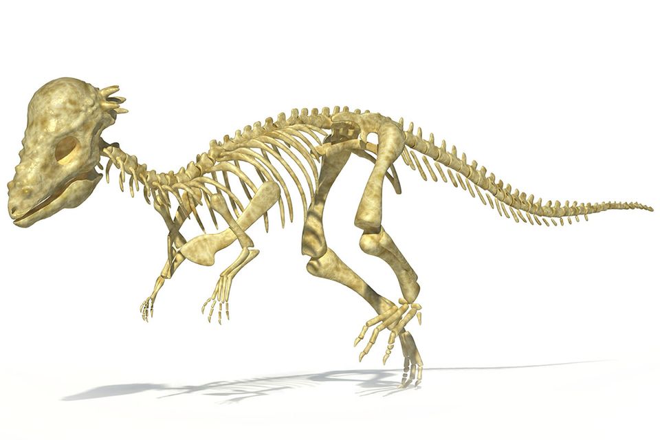 Dinosaurier: Warum wurden bislang kaum Saurierkinder entdeckt?