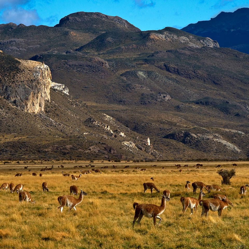 Patagonien: Das Erbe von Douglas Tompkins