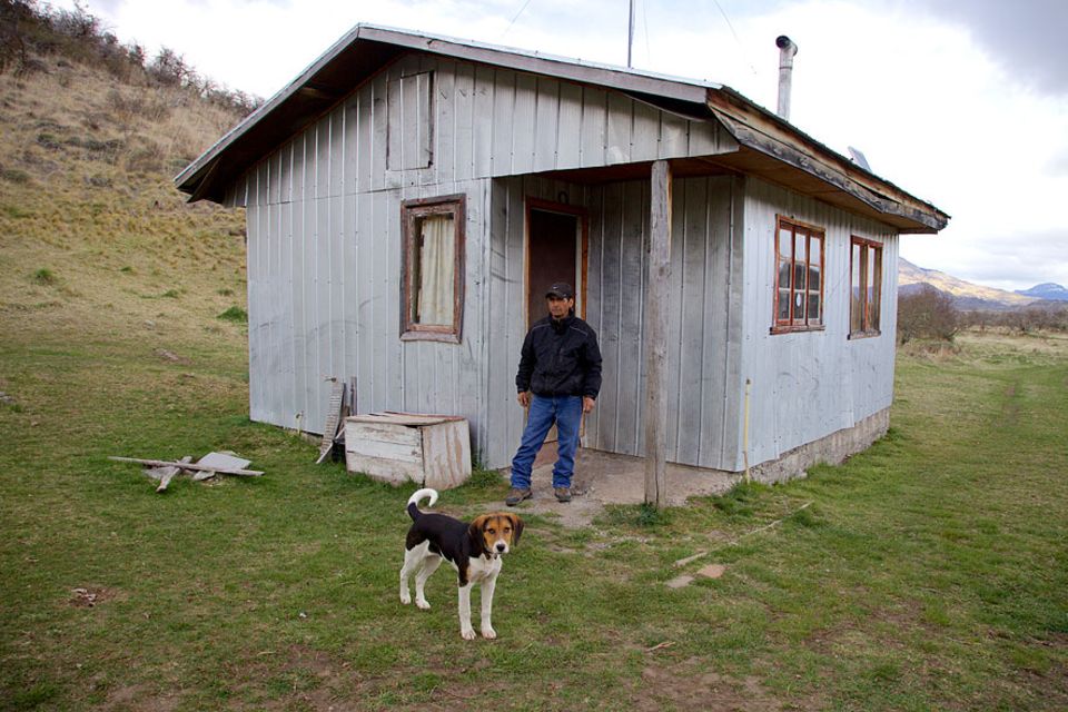 Patagonien: Der einstige Puma-Jäger Sepúlveda vor seiner Hütte mit einem seiner sechs Beagles. Inzwischen hilft er der Parverwaltung die Pumas zu schützen, anstatt sie zu jagen Patagonien: Der einstige Puma-Jäger Sepúlveda vor seiner Hütte mit einem seiner sechs Beagles. Inzwischen hilft er der Parverwaltung die Pumas zu schützen, anstatt sie zu jagen